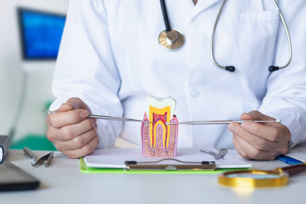 Best Emergency Treatment for Dental Infections or Abscesses in Fabens, TX